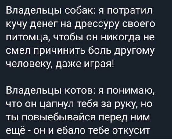 Так себе картинки 29.10.24