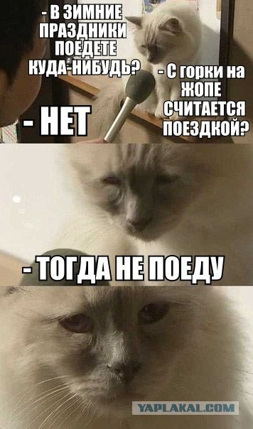 В Госдуме хотят отменить шестидневную рабочую неделю перед новогодними праздниками