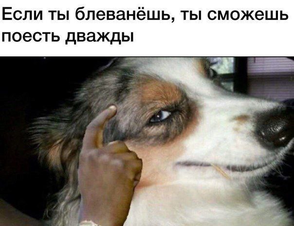 Картинки своеобразного юмора