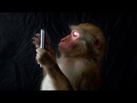 Древний гаджет. 2000-летний артефакт