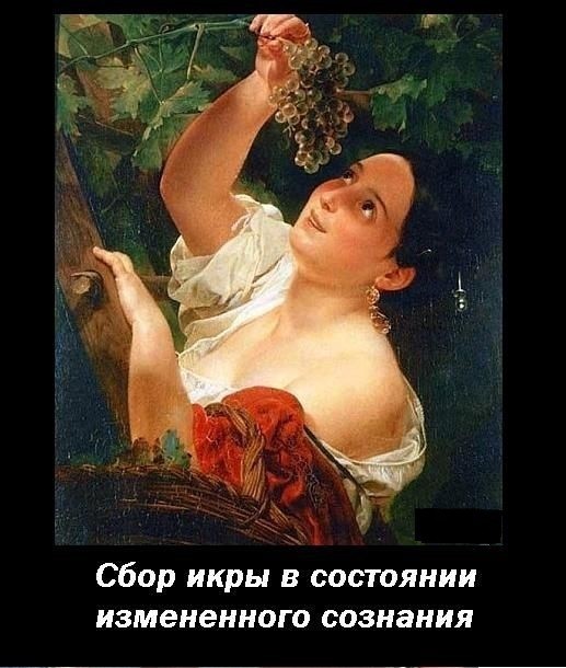 Внезапная соточка дичи