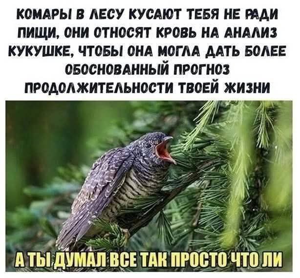 ТРРРидцать тРРРи от 29 августа