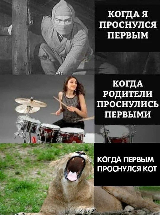 Октябрь, день десятый …