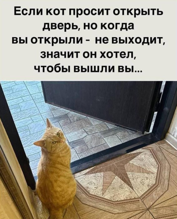 Картиночки, баянчики 26 декабря