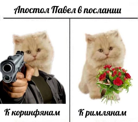 Ты чего избу не строишь?