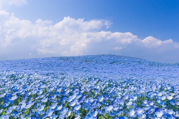 Сделано в Белоруссии