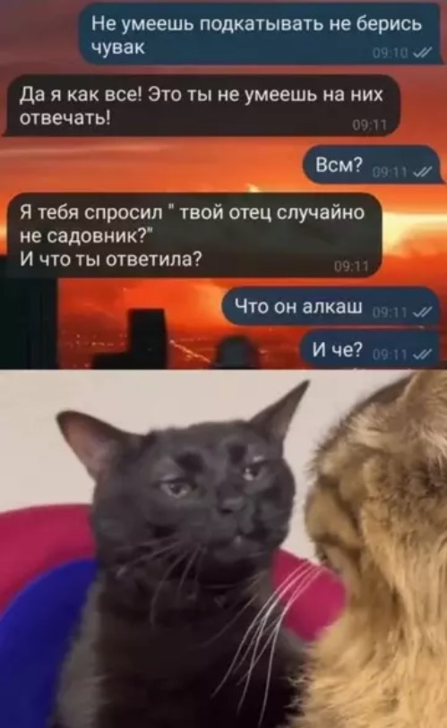 Котямбосы