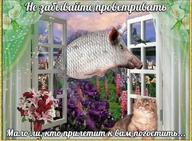 Картинки для деградации 170 (разной степени свежести)