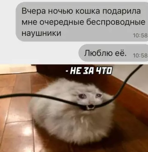 Пакет брать будете?