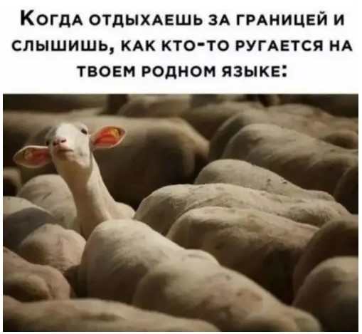 Картиночки, баянчики 09 апреля