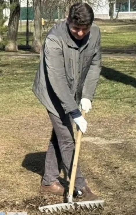 В Туапсе приняли решение озеленить город, для улучшения экологической обстановки