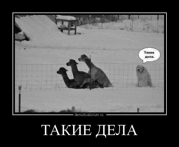 Случай в лифте