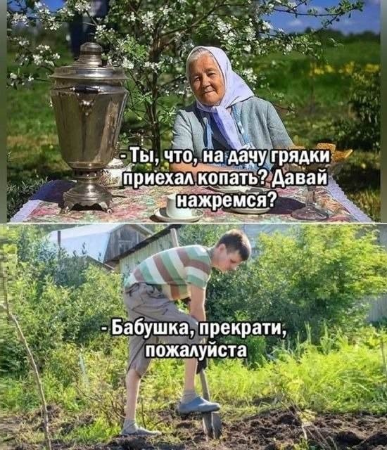 Так себе картинки 19.06.26