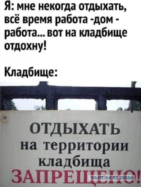 ДНК-тест