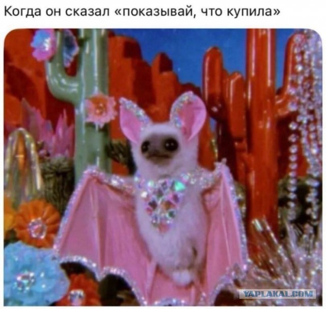 Суперспособности мужчин