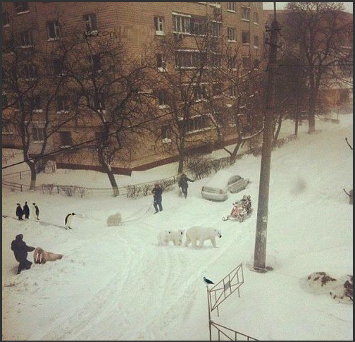 А из нашего окна...