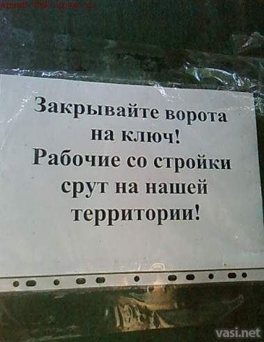 Весёлые картинки. Разбавим будни