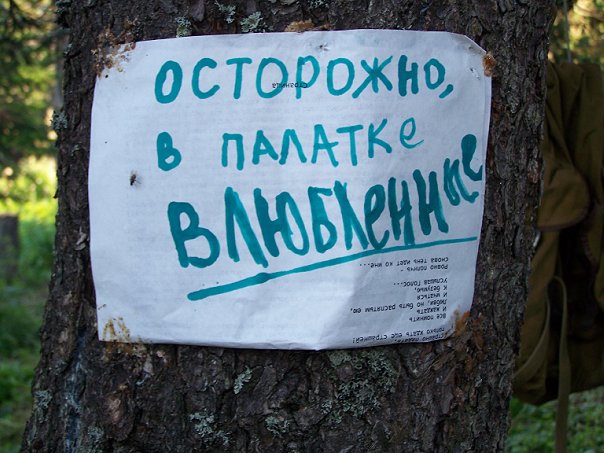 Картинки