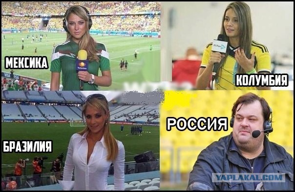 5 самых красивых журналисток чемпионата мира 2014