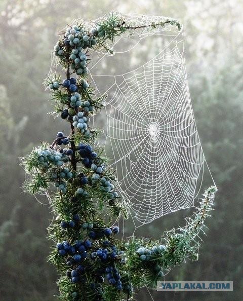 Мне нравится природа