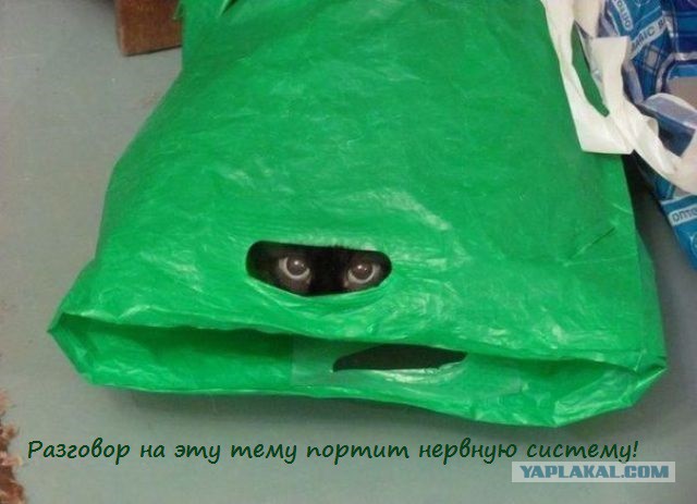 Добряки, плюсующие всех подряд
