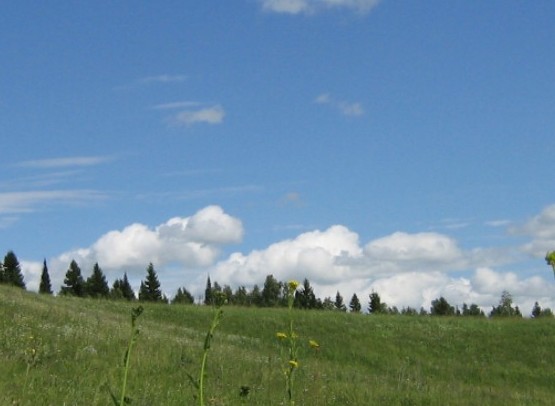 Старые фотографии