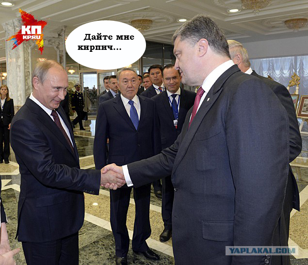 Кто кого боится видно сразу
