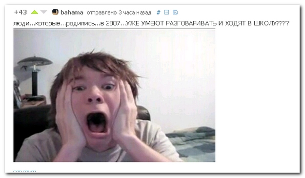 Чутка картинок