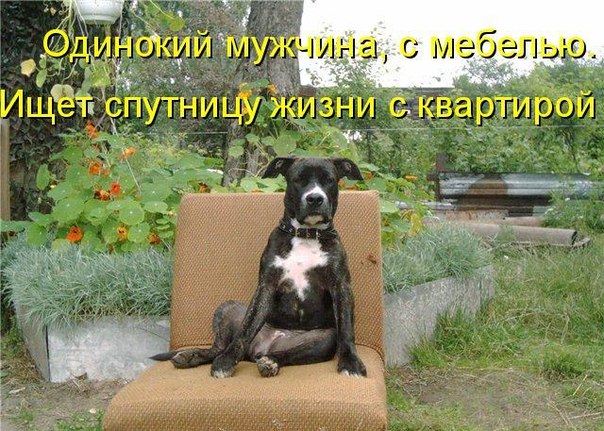 Очередная подборка коментов