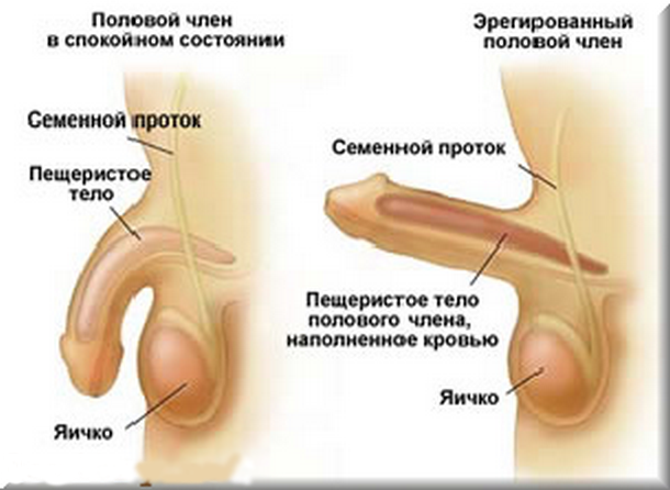 Странные процессы, которые происходят в организме