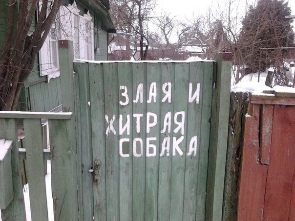 Весёлое из сети