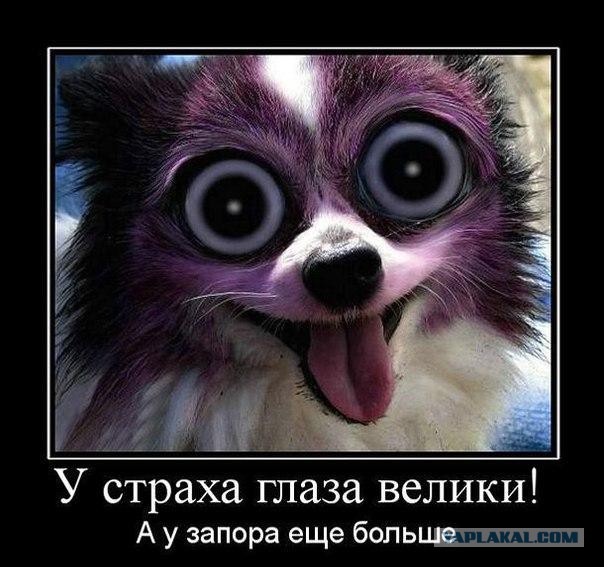 Последние новости АТО: российская армия