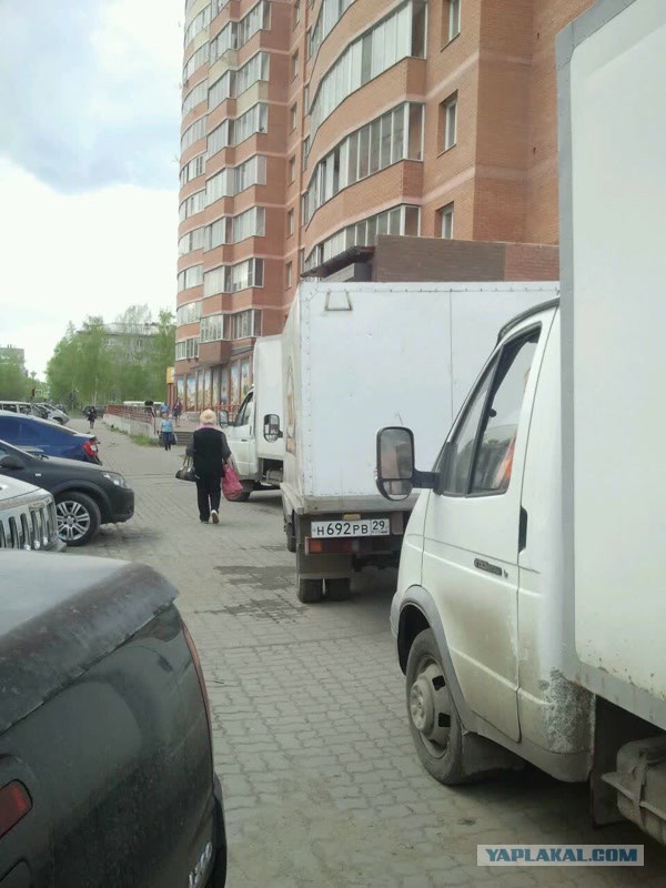СтопХамСПб - Покажу