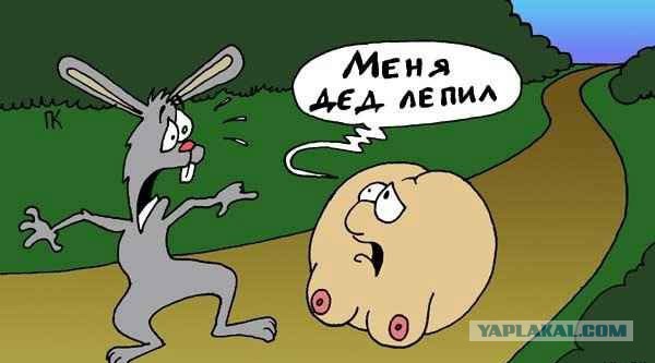 Ноги или грудь?, вопрос к мужчинам