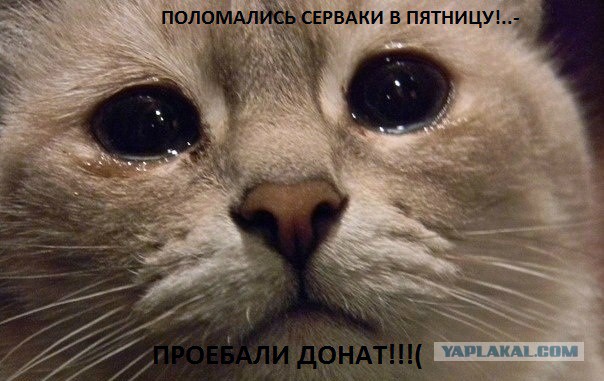 Wargaming 25!
