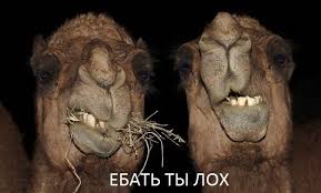 Строительство дома в кредит