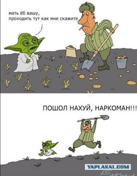 Минутка наркомании на ЯПе