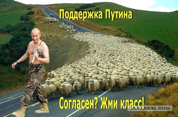 Сердюков стал индустриальным директором
