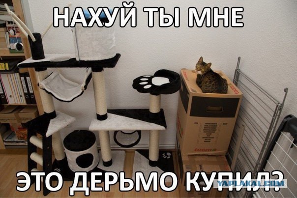 КОТтэдж на Бейкер Стрит