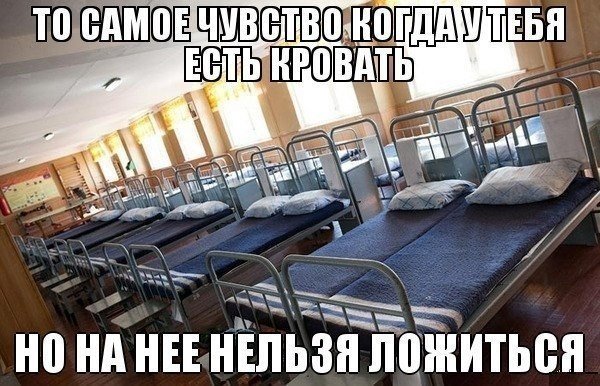 Приколы из сети