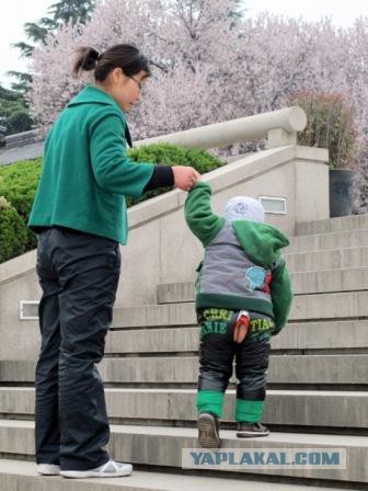 За что я люблю китайцев