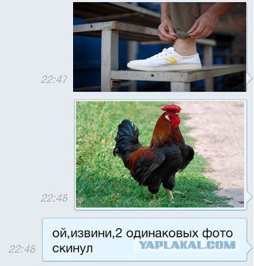 Картинки смешные и несмешные