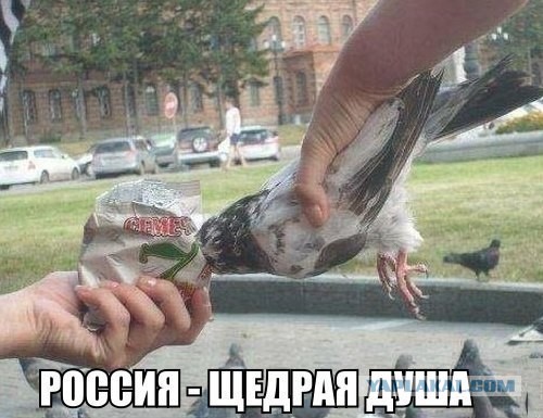 Подборка картинок из сети