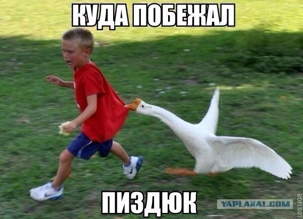 Картинки на пятницу