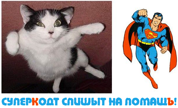 Вторничный котомёт!