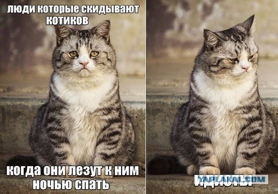 Подборка картинок