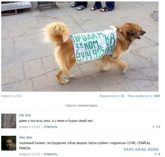 Смешные комментарии 17.04.2016