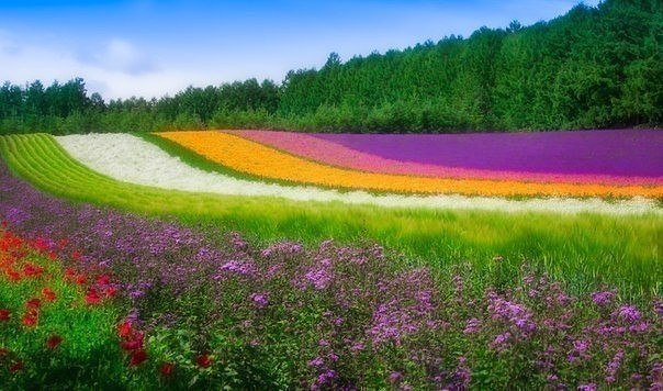 Картинки разные