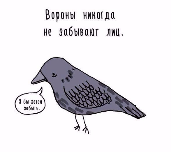 Подборка интересных и смешных картинок