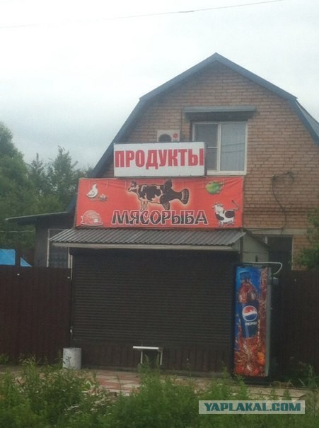 Подборка картинок и демотиваторов